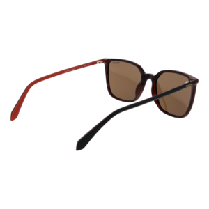 Rückansicht der Polaroid Sonnenbrille PLD 4209/S/X 56086SP – Polyamid & Eco Gummi Rahmen
