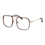 Replay )} Brille RY451V 54H03 in Bronze