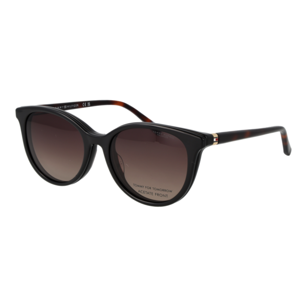 Rückansicht/Bügel der Tommy Hilfiger Brille TH 2395/C 5209Q17