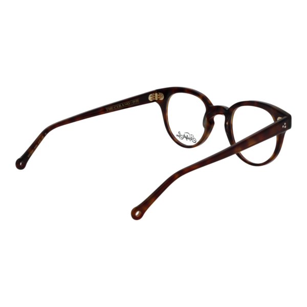 Frontansicht der Hally & Son Brille HS905V02 4802 – Rahmen Azetat