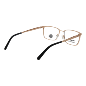 Frontansicht der Harley-Davidson Brille HD9028 54003 – Rahmen Titan