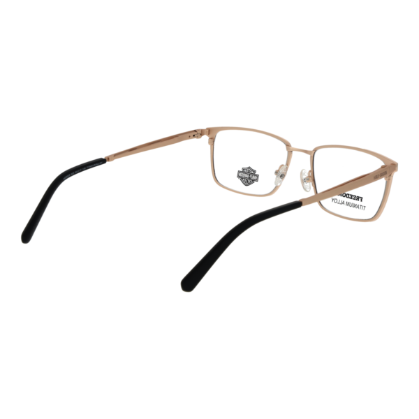 Frontansicht der Harley-Davidson Brille HD9028 54003 – Rahmen Titan
