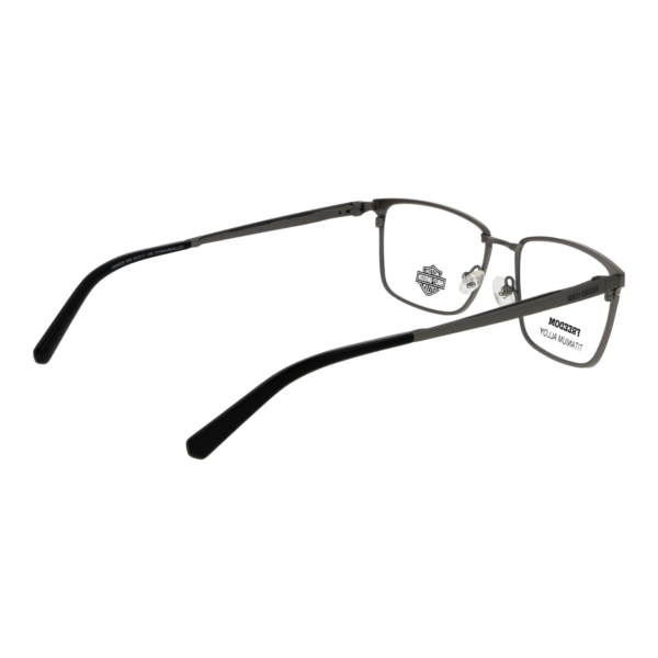 Frontansicht der Harley-Davidson Brille HD9028 54009 – Rahmen Titan