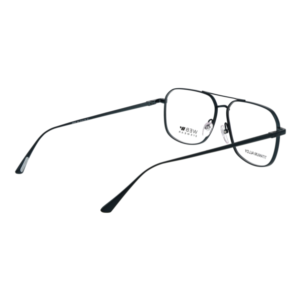 Frontansicht der Web Brille WE5437 57091 – Rahmen Titan