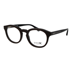 Web )} Brille WE5443 50050 in Braun